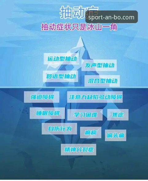深度揭秘：安博app下载使用指南背后的真相与高效操作